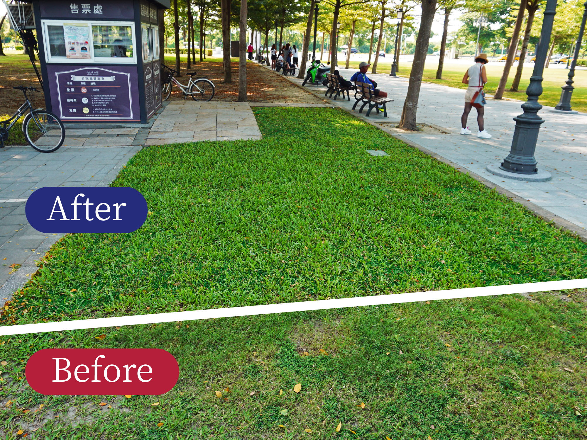 草皮保護墊-軟質PE